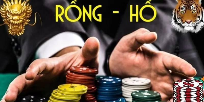 Hướng dẫn cách chơi rồng hổ tại nhà cái Winbet